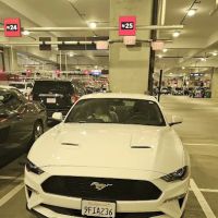 Avis Car Rental ico