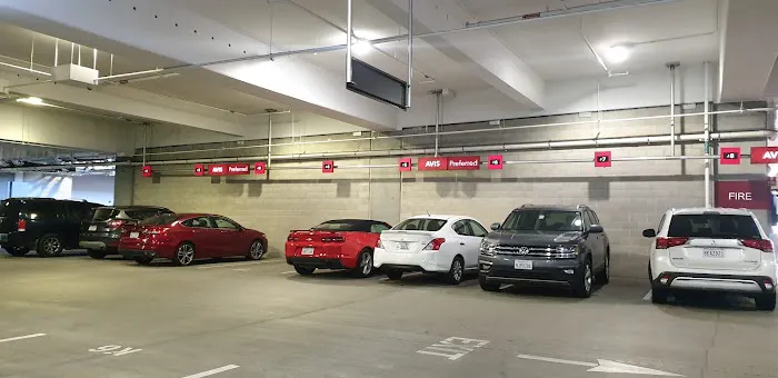 Avis Car Rental Picture 3