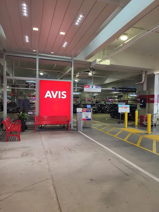 Avis Car Rental Picture 8