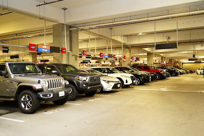 Avis Car Rental Picture 6