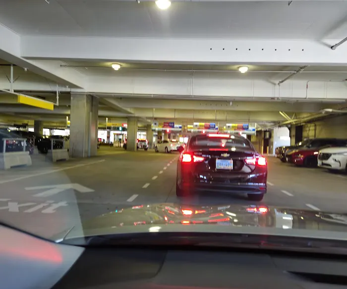 Hertz Car Rental Picture 5