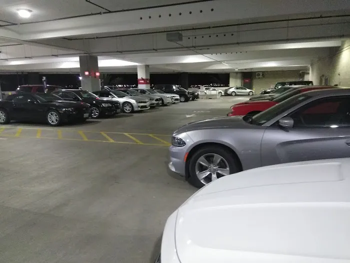 Fox Rent A Car San Diego Picture 6