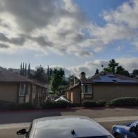 Mejia's automotives with turo ico