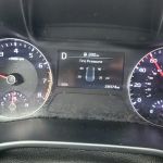 Payless Car Rental