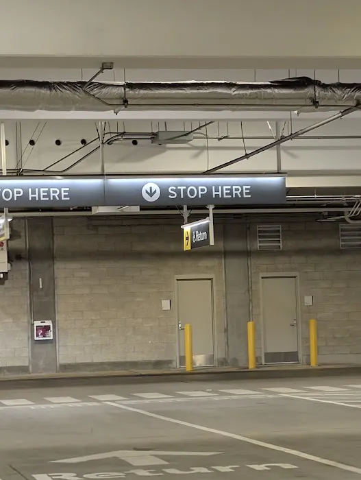 Thrifty Car Rental - San Diego International Airport Picture 7