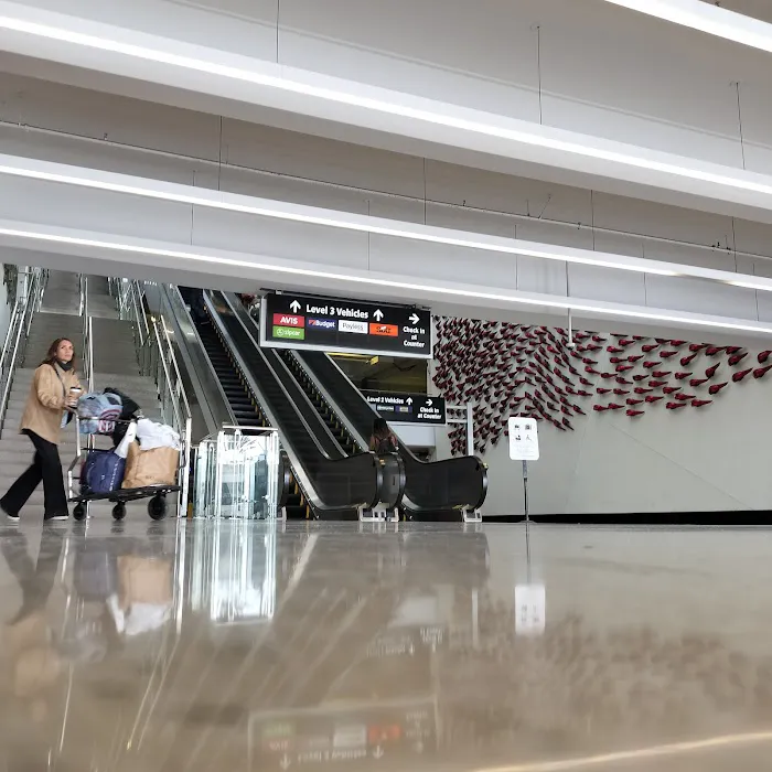 Dollar Car Rental - San Diego International Airport Picture 10