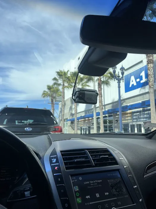 Priceless Car Rental Picture 1