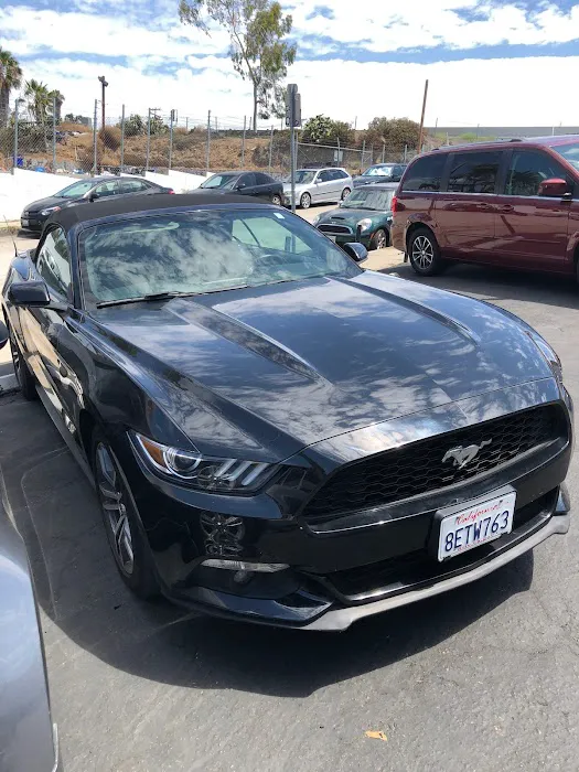Priceless Car Rental Picture 10