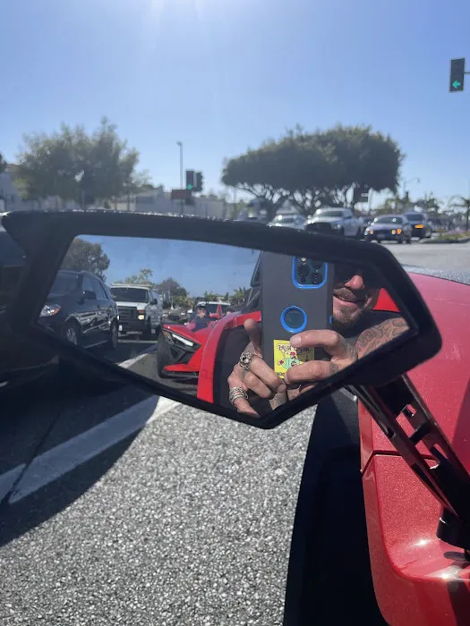 Ride Proximity Rent-A-Car (Tesla, Vanderhall, Slingshot, BMW, MINI) Picture 8