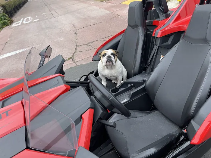 Ride Proximity Rent-A-Car (Tesla, Vanderhall, Slingshot, BMW, MINI) Picture 6