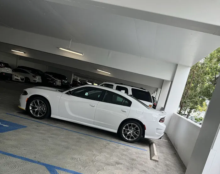 RentalZone Rent-A-Car Picture 6