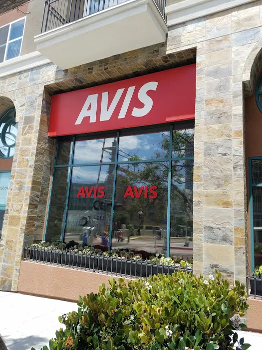 Avis Car Rental Picture 5