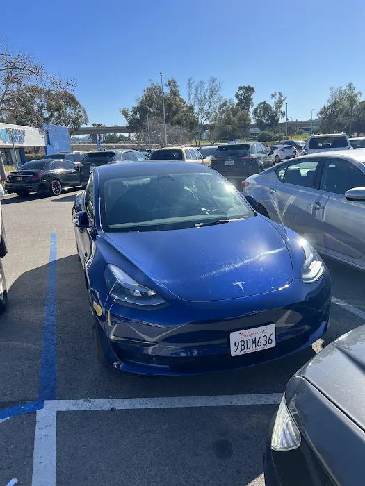 Budget Car Rental Picture 4