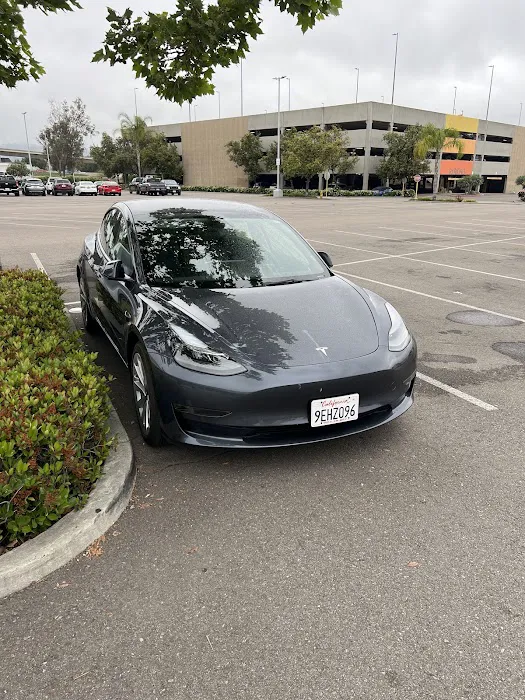 Avis Car Rental Picture 1