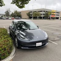 Avis Car Rental ico