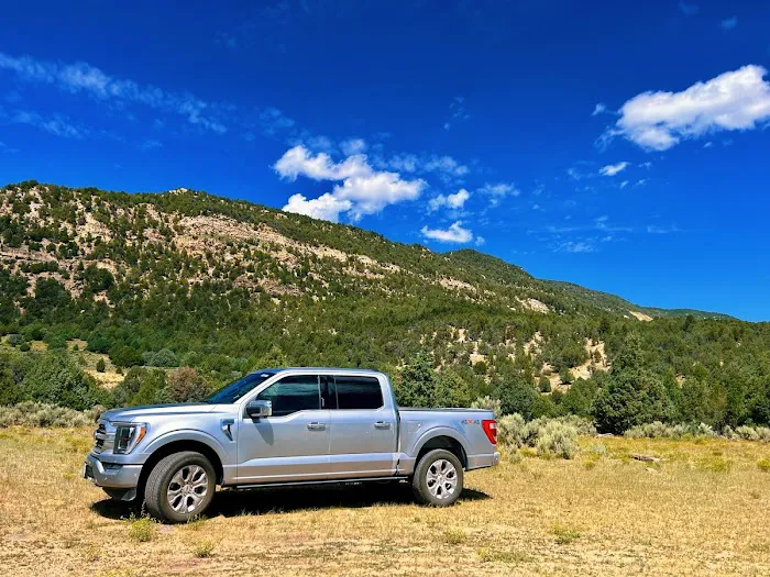 Avis Car Rental Picture 1