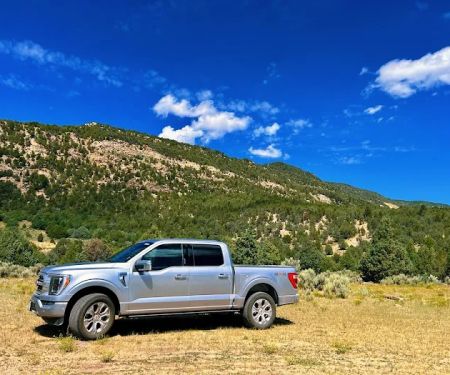 Avis Car Rental