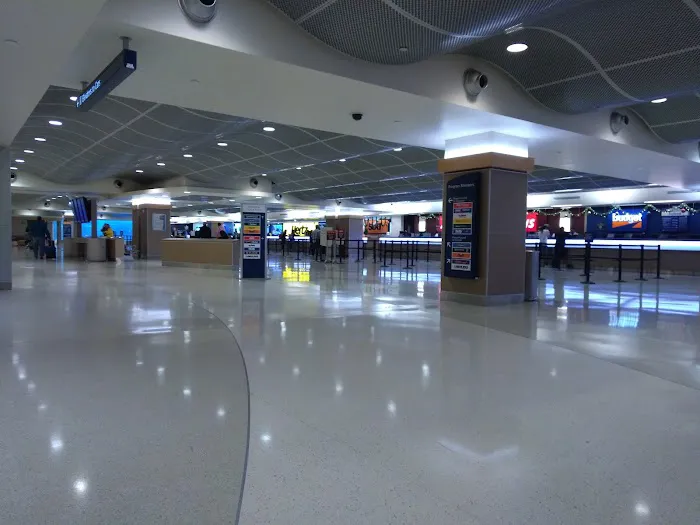 Payless Car Rental Picture 3