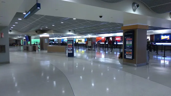 Payless Car Rental Picture 4