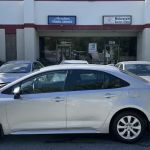 Avalon Transportation