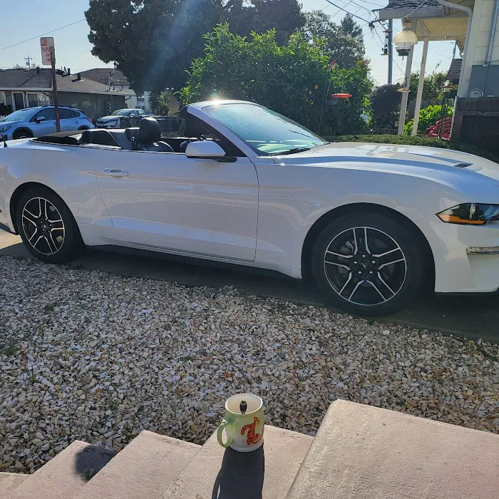 Avis Car Rental Picture 2