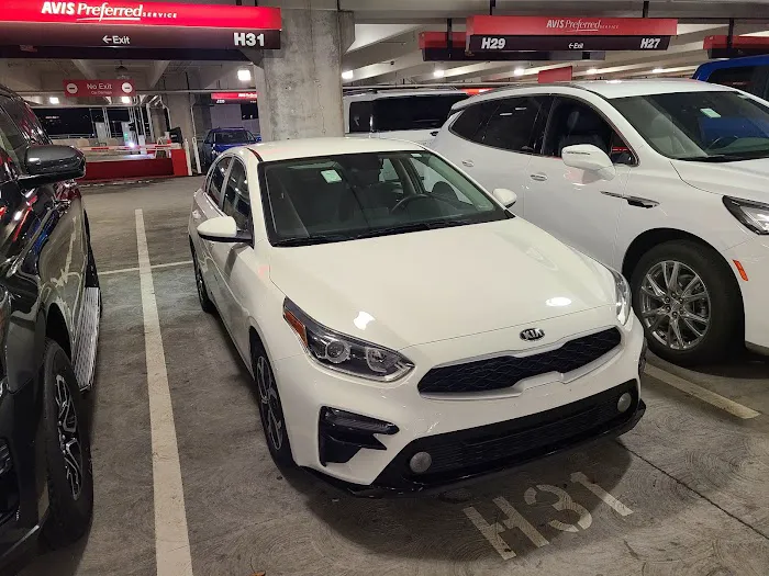 Avis Car Rental Picture 4