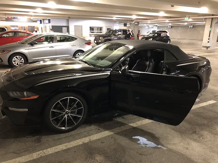 Budget Car Rental Picture 5