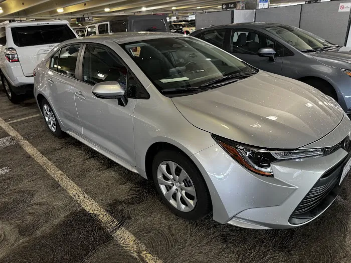 Fox Rent A Car San Jose Picture 6