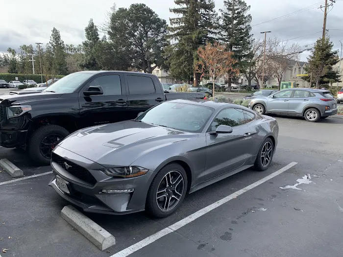 Avis Car Rental Picture 6