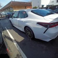 Budget Car Rental ico