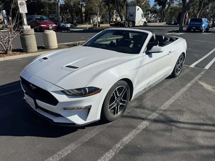 Avis Car Rental Picture 10