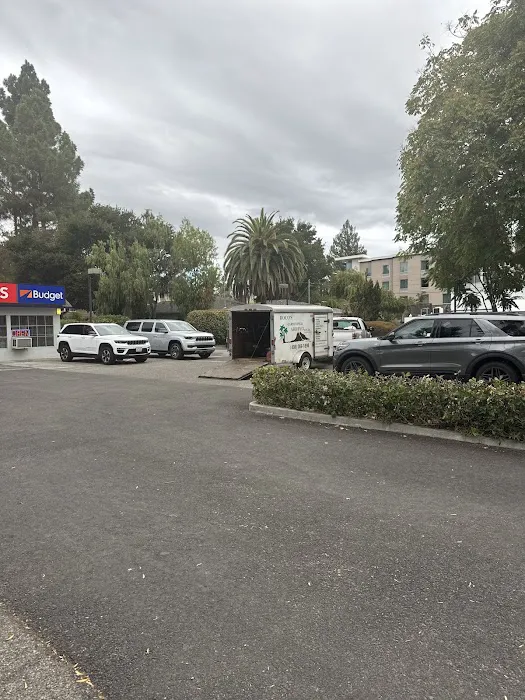 Avis Car Rental Picture 9