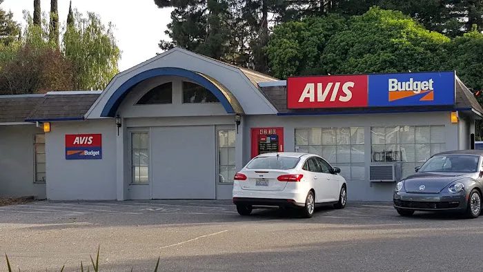 Avis Car Rental Picture 4