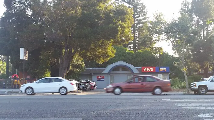Avis Car Rental Picture 6