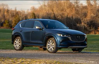 Budget Car Rental Picture 2