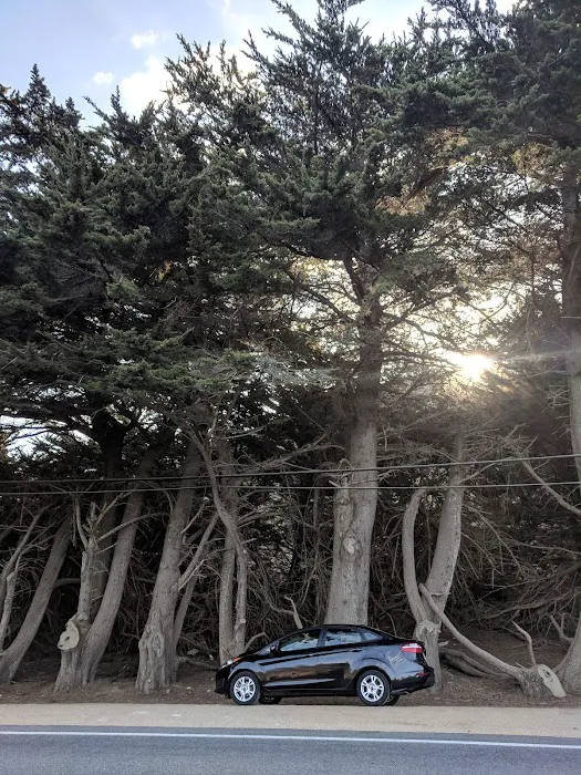Super Cheap Car Rental Picture 3