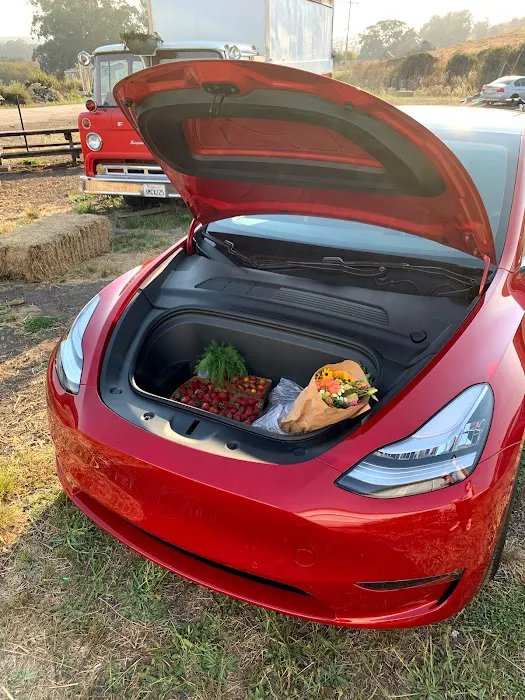Rent a Tesla Model Y Picture 3