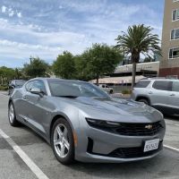 Avis Car Rental ico