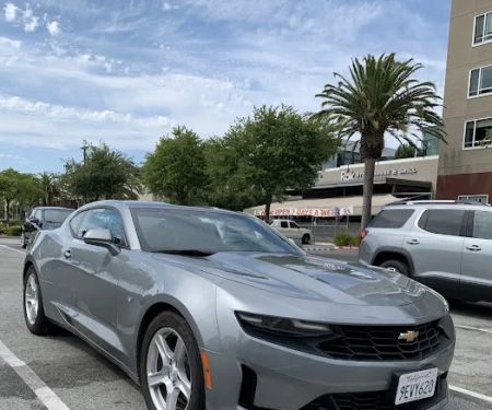 Avis Car Rental