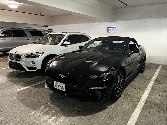 Avis Car Rental Picture 7