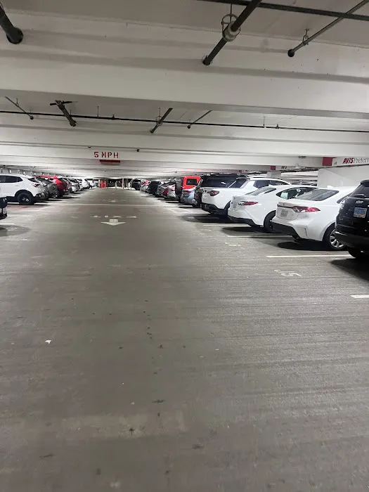Avis Car Rental Picture 5
