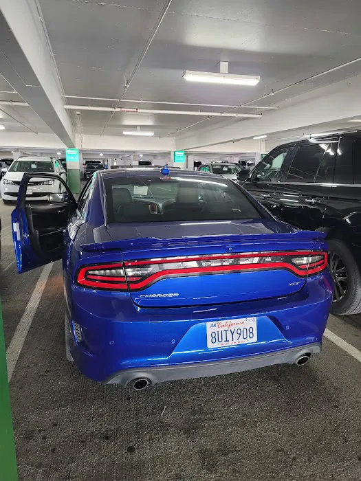 National Car Rental Picture 4