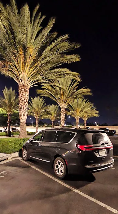 Enterprise Rent-A-Car Picture 5
