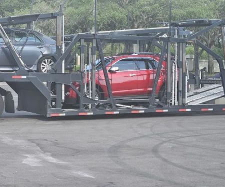Freedom 1st Transportation