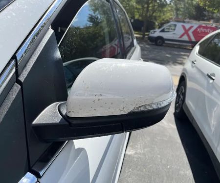 Budget Car Rental