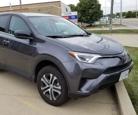 Avis Car Rental