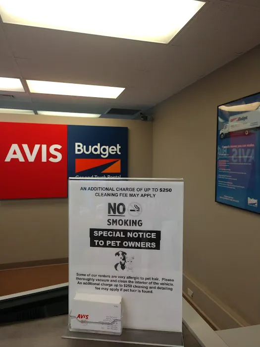 Avis Car Rental Picture 1