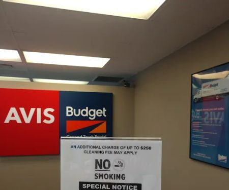 Avis Car Rental