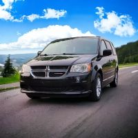 papa bear car rental ico