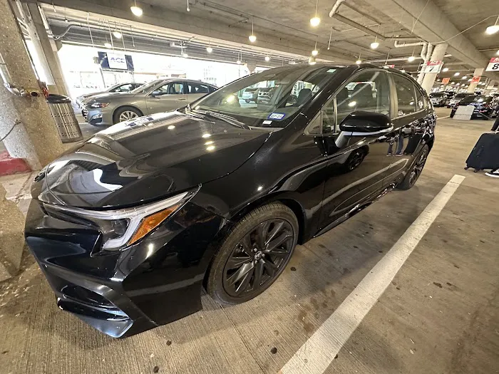 ACE Rent A Car Picture 5